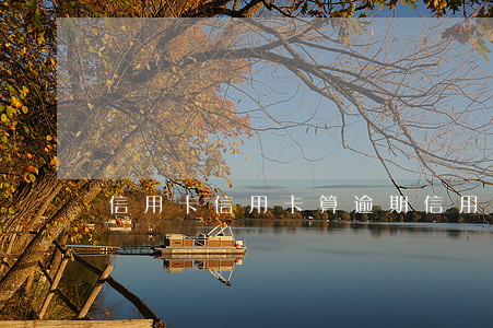 信用卡信用卡算逾期(信用卡逾期怎么判定)