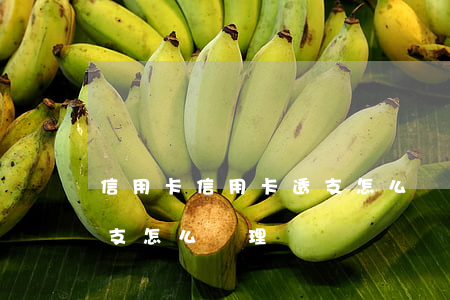 信用卡信用卡透支怎么辦理(信用卡信用卡透支怎么辦理)