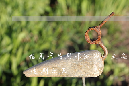 信用卡信用卡逾期一天怎么辦(每個月信用卡逾期三天)