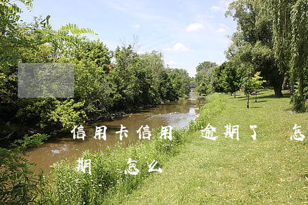 信用卡信用貸逾期了會怎樣(如果說信用卡逾期會怎么樣)