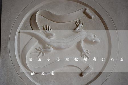 信用卡信用逾期有什么后果(信用卡逾期带来的后果)