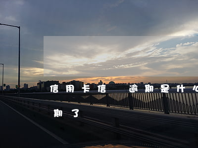 信用卡信貸逾期是什么意思(什么叫信用卡逾期了)