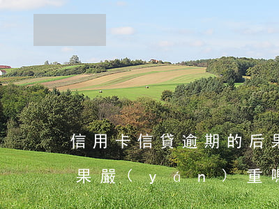 信用卡信貸逾期的后果(信用卡信貸逾期的后果嚴(yán)重嗎)