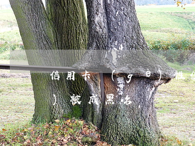 信用卡個(gè)性化分期之后會(huì)被成黑名單嗎?-個(gè)性化分期以后信用卡是不是就不能用了
