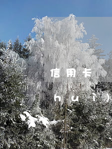 信用卡個(gè)性化分期后再次逾期會(huì)起訴怎么辦-個(gè)性化分期后又逾期