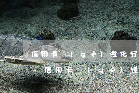 信用卡個(gè)性化分期后積分還能用嗎-信用卡個(gè)性化分期后積分還能用嗎安全嗎