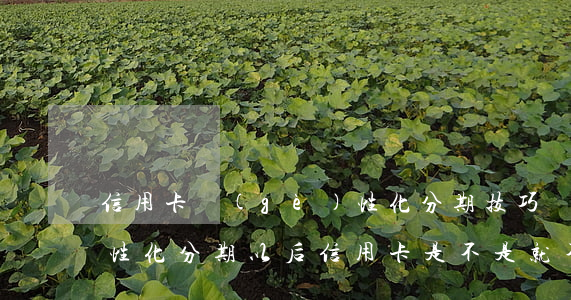 信用卡個(gè)性化分期技巧(個(gè)性化分期以后信用卡是不是就不能用了)