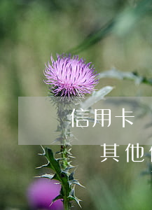 信用卡個(gè)性化分期會(huì)影響其他信用卡嗎-信用卡個(gè)性化分期會(huì)影響其他信用卡嗎