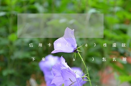 信用卡個(gè)性還款協(xié)商不下來(lái)怎么辦-信用卡個(gè)性還款協(xié)商不下來(lái)怎么辦呢