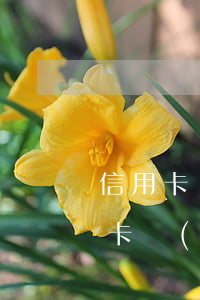 信用卡個人協(xié)商訴求(怎樣寫信用卡協(xié)商還款申請書)