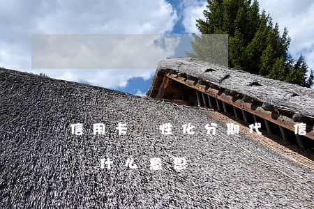 信用卡個性化分期代償(信用卡個性化分期代償什么意思)