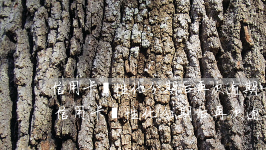 信用卡個性化分期后再次逾期一天的后果-信用卡個性化分期后再次逾期一天的后果是什么