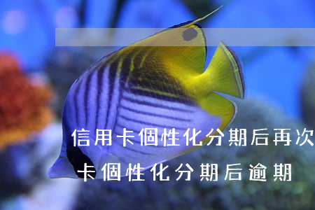 信用卡個性化分期后再次逾期了怎么辦（信用卡個性化分期后逾期）