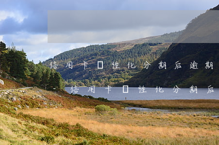 信用卡個性化分期后逾期一天還進去會怎樣-信用卡個性化分期后逾期一天還進去會怎樣