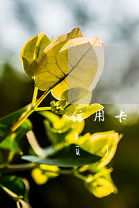 信用卡個性化分期和賬單分期有什么區(qū)別-信用卡個性化分期和賬單分期有什么區(qū)別嗎