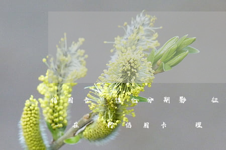 信用卡個性化分期影響征信還能再做貸款嗎-在銀行信用卡辦理個性化分期會影響征信嗎