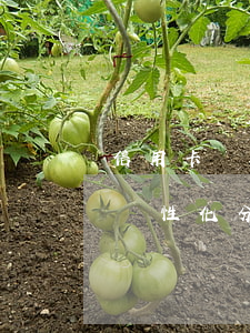 信用卡個性化分期期間利息怎么算-信用卡個性化分期期間利息怎么算的