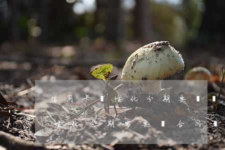 信用卡個性化分期要簽協(xié)議嗎(個性化分期需要簽合同嗎)