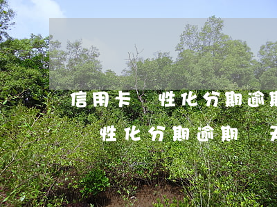 信用卡個性化分期逾期兩天怎么辦-信用卡個性化分期逾期兩天怎么辦理
