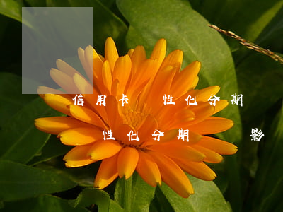 信用卡個性化分期還會影響家人嗎-信用卡個性化分期還會影響家人嗎