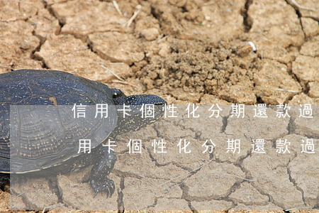 信用卡個性化分期還款過程中不能投訴-信用卡個性化分期還款過程中不能投訴怎么辦