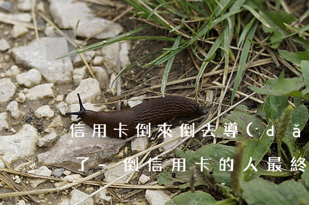 信用卡倒來倒去導(dǎo)致逾期還不上了-倒信用卡的人最終下場(chǎng)