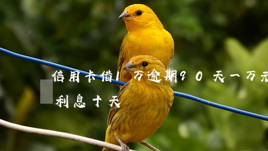 信用卡借1万逾期90天 一万元信用卡逾期利息十天