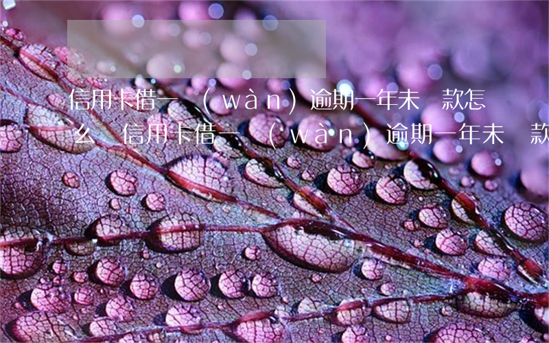 信用卡借一萬(wàn)逾期一年未還款怎么辦（信用卡借一萬(wàn)逾期一年未還款）