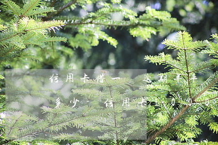 信用卡借一萬逾期半年應(yīng)該還多少-信用卡10000逾期一年,一共要還多少錢