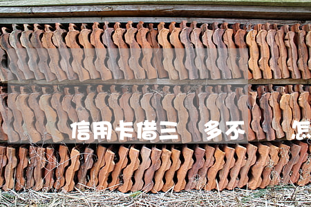 信用卡借三萬多不還會怎樣