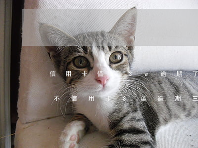 信用卡借了3w逾期了逾期費(fèi)高不(信用卡3萬逾期三年)