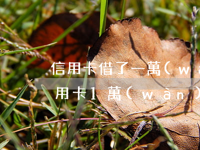 信用卡借了一萬(wàn)逾期一年多少(信用卡1萬(wàn)逾期一天多少錢(qián))