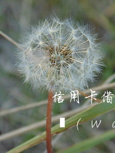 信用卡借了三萬(wàn)逾期四年變22萬(wàn)-信用卡借了三萬(wàn)逾期四年變22萬(wàn)怎么辦