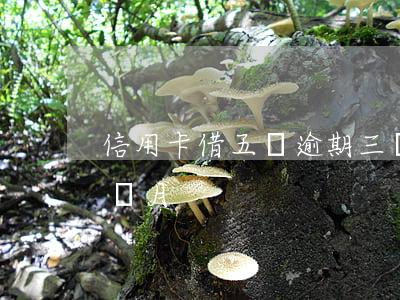 信用卡借五萬逾期三個月(信用卡6萬逾期三個月)