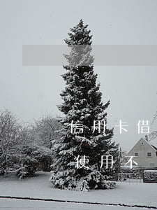 信用卡借人一直不還證明弄(借信用卡給他人使用不還報警)