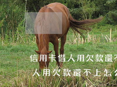 信用卡借人用欠款還不上怎么辦-信用卡借人用欠款還不上怎么辦呢