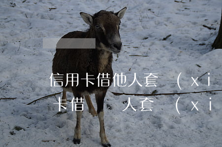信用卡借他人套現(xiàn)后不還(信用卡借給別人套現(xiàn),但是按時還款了)