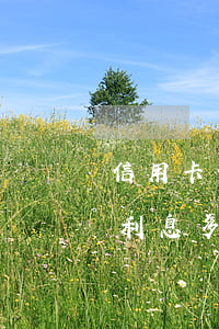 信用卡借兩千逾期一天(信用卡逾期2萬一天利息多少)