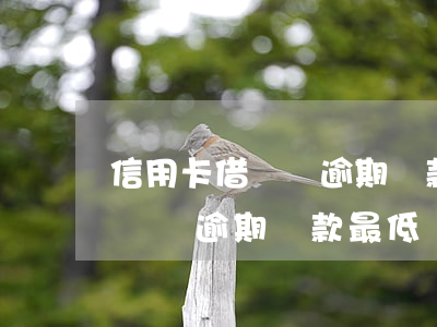 信用卡借兩萬逾期還款最低還多少 信用卡借兩萬逾期還款最低還多少合適