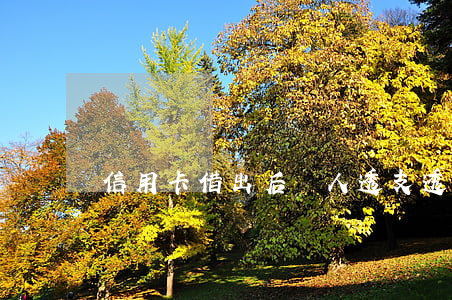 信用卡借出后別人透支(透支卡借給別人后果)