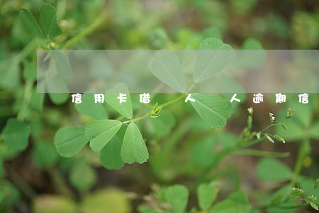 信用卡借別人別人逾期(信用卡借別人用)