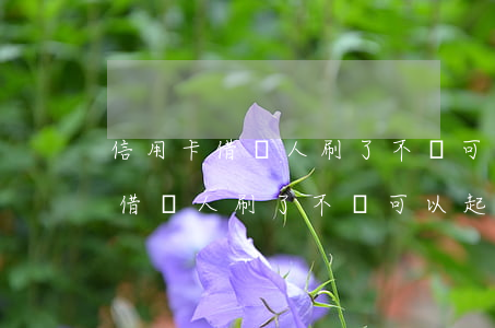 信用卡借別人刷了不還可以起訴嗎-信用卡借別人刷了不還可以起訴嗎怎么辦
