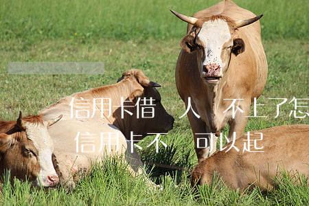 信用卡借別人還不上了怎么樣起訴-借別人信用卡不還可以起訴嗎