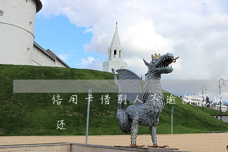 信用卡借别人不逾期可以不(借别人信用卡不还)