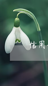 信用卡借别人逾期（信用卡借别人逾期）