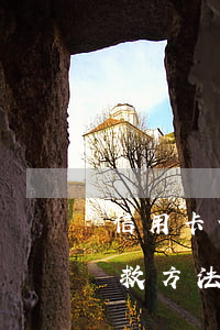 信用卡借呗欠5万自救方法(借呗欠20万自救方法)