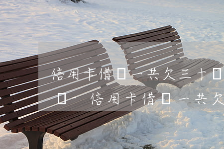 信用卡借唄一共欠三十幾萬(wàn)怎么辦-信用卡借唄一共欠三十幾萬(wàn)怎么辦啊