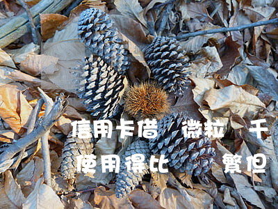 信用卡借唄微粒貸千萬不要逾期(借唄微粒貸使用得比較頻繁,但從未逾期)