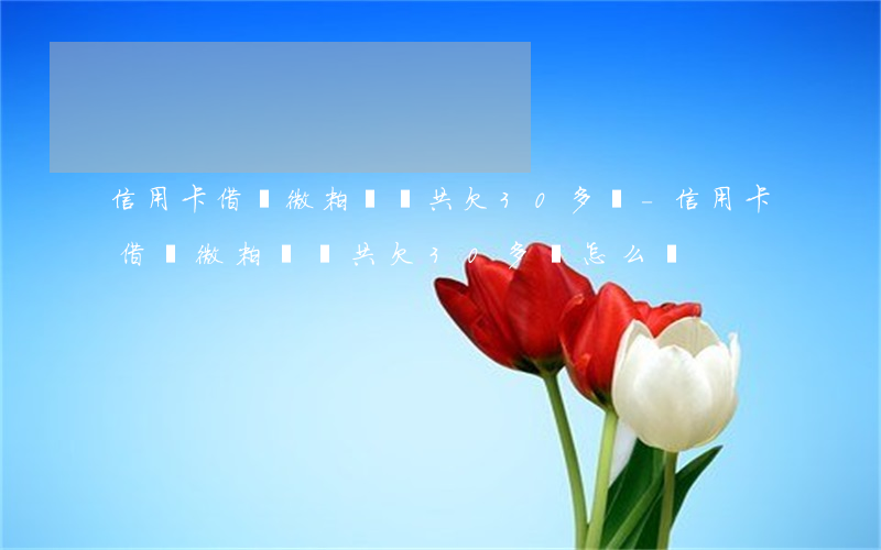 信用卡借唄微粒貸總共欠30多萬-信用卡借唄微粒貸總共欠30多萬怎么辦