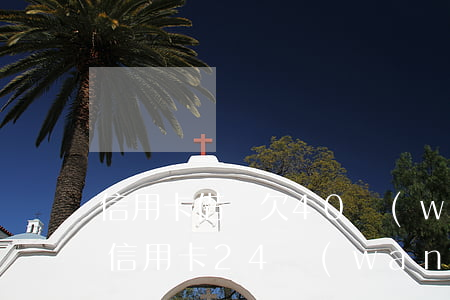 信用卡借唄欠40萬(wàn)自救方法(欠信用卡24萬(wàn)怎么自救)